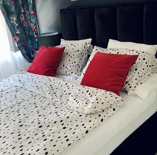 شقة 5 كراغوييفاك